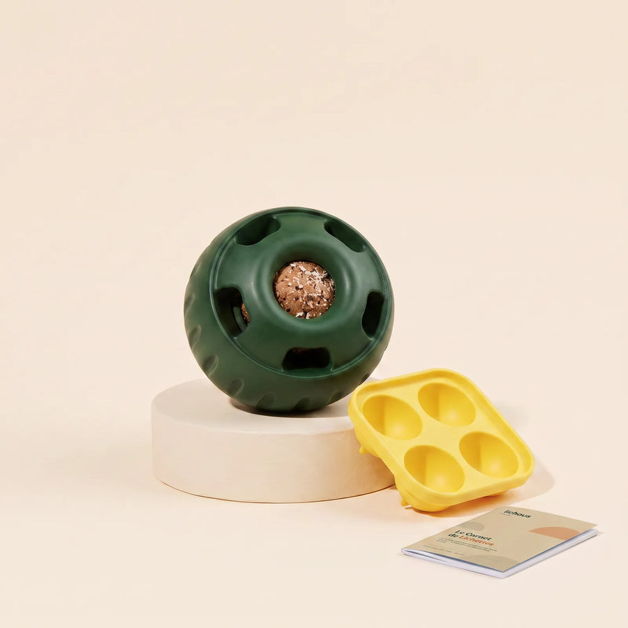 Pack Essentiel